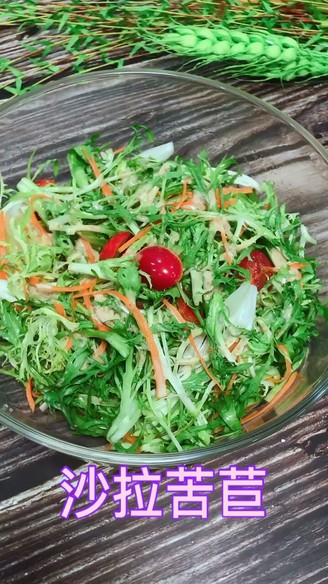 Salad Chicory