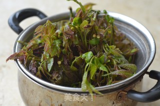 The Taste of Spring [tofu Mixed with Toon] recipe