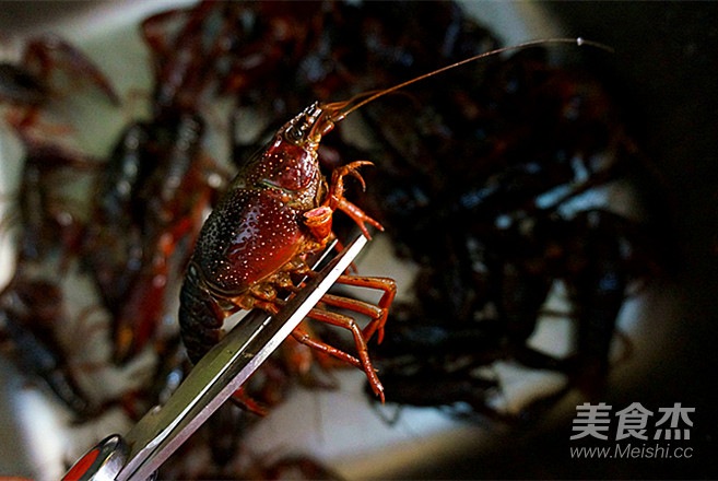 Stir-fried Lobster-the Whole Process of Cleaning Up The Lobster in Detail is Worthy of Your Support recipe