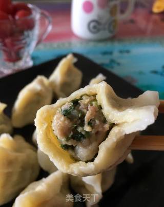 Grey Vegetable Dumplings recipe