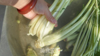 Homemade Sour Pickles recipe