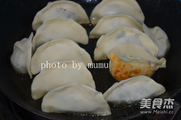 Fried Dumplings recipe