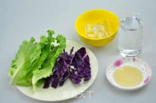 [oster Recipe] Purple Cabbage Healthy Vegetable Juice recipe