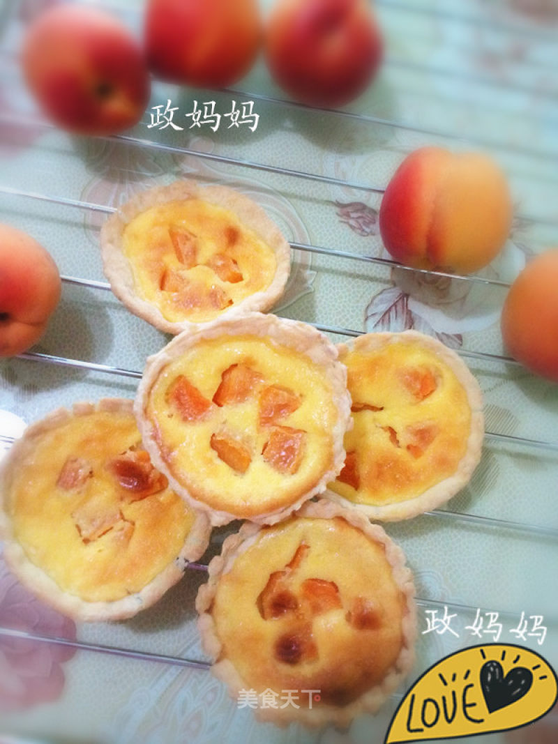 【shandong】apricot Egg Tart