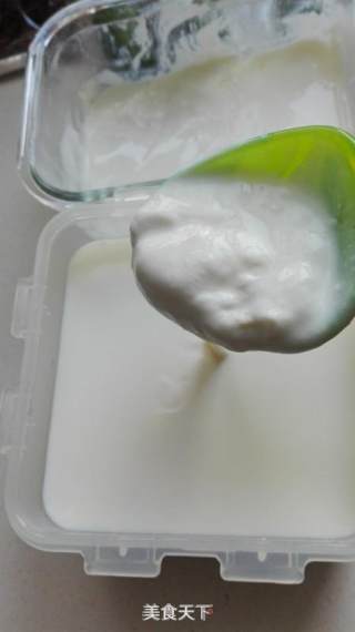 Homemade Greek Yogurt recipe