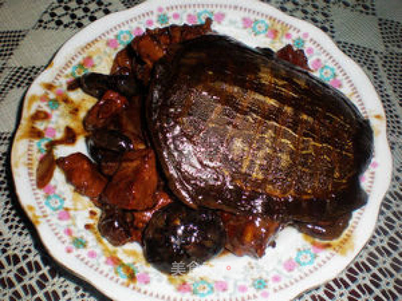 Braised Turtle recipe