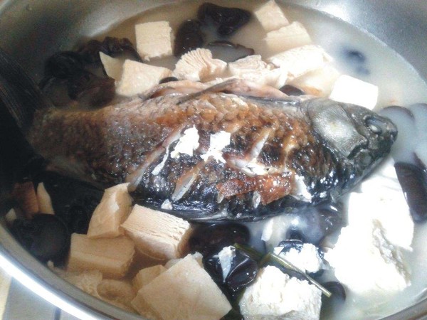 Tofu Crucian Carp Soup recipe