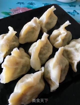 Grey Vegetable Dumplings recipe