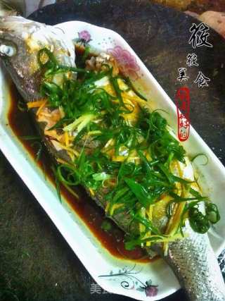 Cantonese Style Steamed Sea Bass recipe