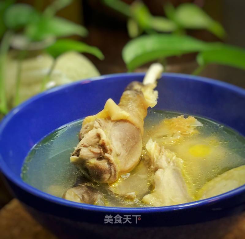 [guangdong] Shark's Fin Chicken Soup recipe
