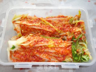 Learn to Make Authentic "korean Spicy Cabbage" recipe