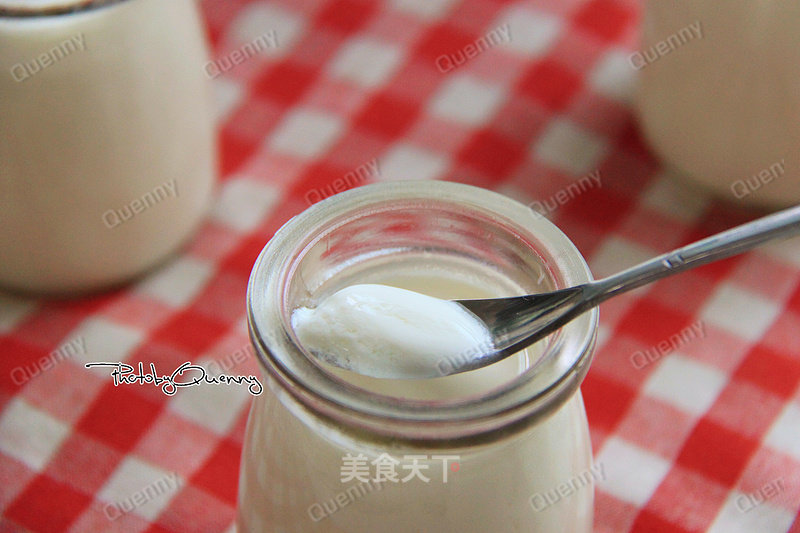 Plain Yogurt recipe