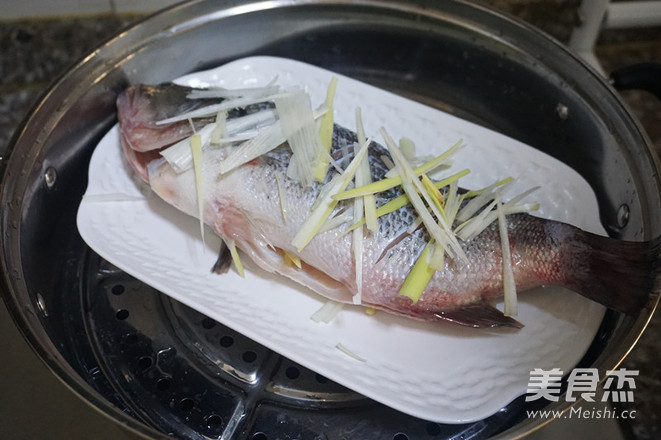 Scallion Perch recipe