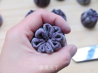 Nutritious Breakfast-black Rice Bean Paste Chrysanthemum Buns recipe