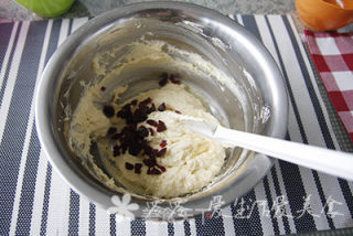 Cranberry Yogurt Muffin recipe