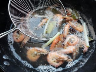 Brine Shrimp recipe