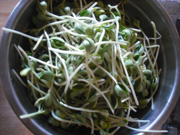 Whitebait Soup with Bean Sprouts and Quail Eggs recipe