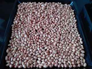 Peanut Candy recipe