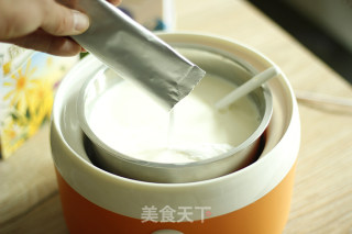 Homemade Prebiotic Yogurt Laxative Detoxification Slimming Companion recipe