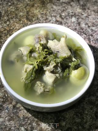 Wormwood Chicken Soup recipe