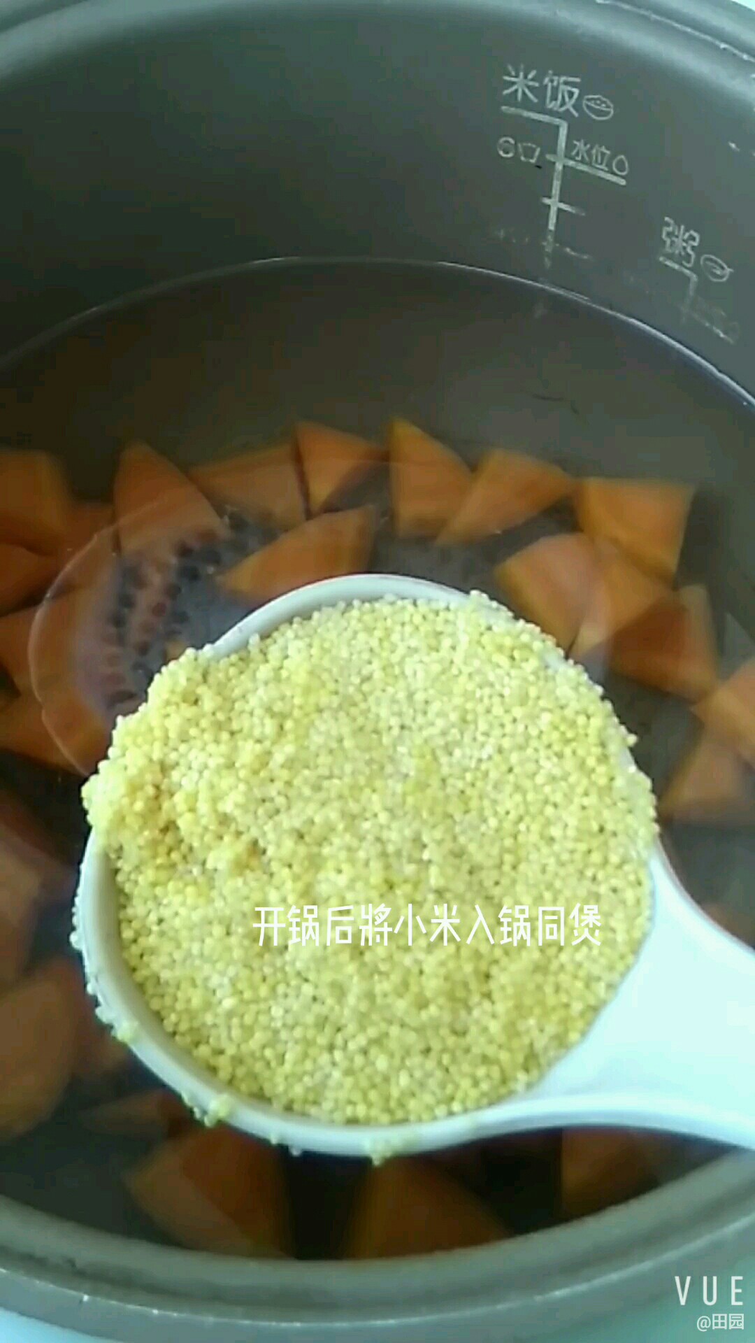 Carrot and Black Wolfberry Porridge recipe