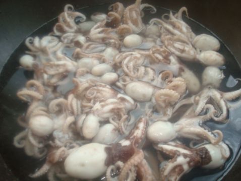 Cold Octopus recipe