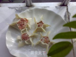 Five-star Dumplings recipe