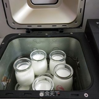 Homemade Yogurt recipe