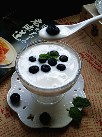 Blueberry Yogurt recipe