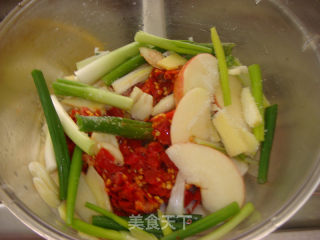 Improved Version of "kimchi" recipe