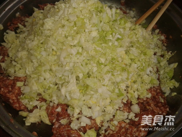 Cabbage Meat Dumplings recipe