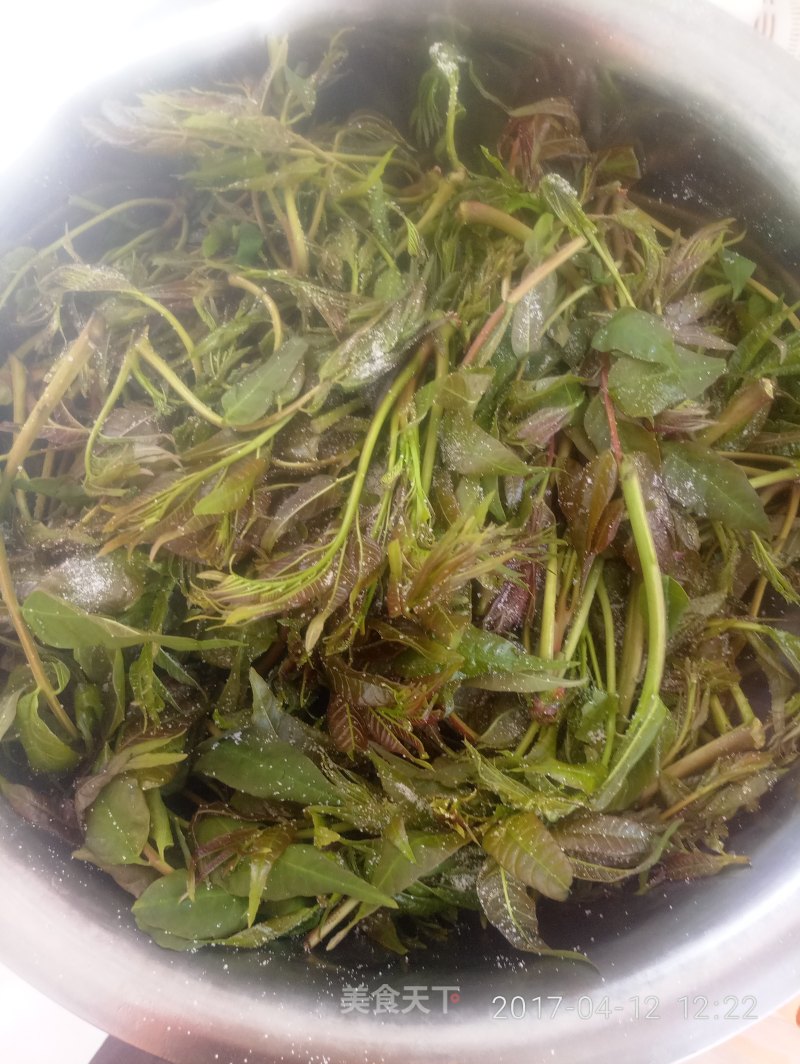 #春食野菜香# Pickled Toon recipe