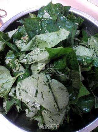 Steamed Sweet Potato Leaves recipe