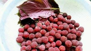 Dried Bayberry recipe