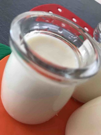Homemade Yogurt (healthy Pot Version)