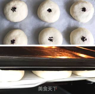 Japanese Red Bean Buns recipe