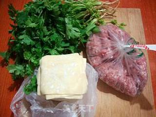 Fresh and Delicious -------【coriander and Fresh Meat Wonton】 recipe