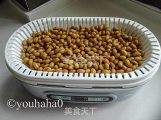 Homemade Natto recipe