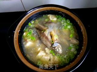 Casserole Crucian Carp Tofu Soup recipe