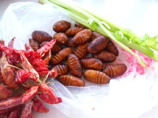 Spicy Fried Silkworm Pupa recipe