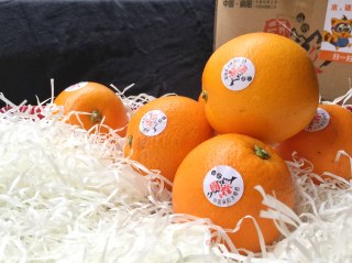 【dessert】steamed Orange with Rock Sugar recipe