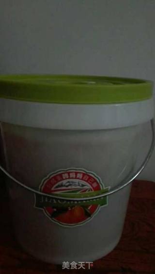 Dragon Fruit Enzyme recipe