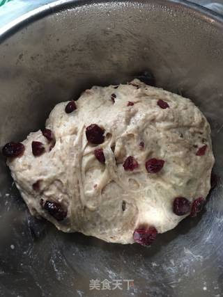 No-knead Whole Wheat Cranberry Soft European Bag recipe