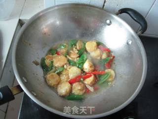 Braised Tofu with Double Peppers recipe