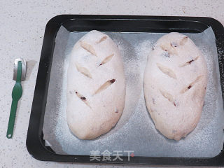 Rich and Rich Taste~【whole Wheat Cranberry Cheese Soft European】 recipe