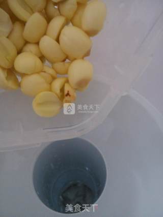 Osmanthus and Lotus Seed Soup recipe