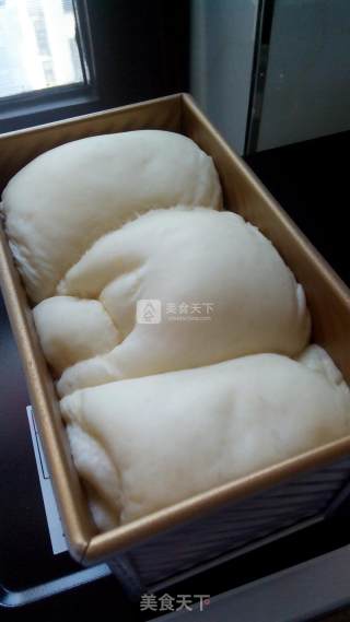 Maltose Pondomi Toast recipe
