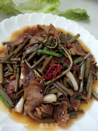 Fiddlehead Stir-fried Twelfth Moon recipe