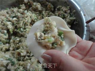 Delicious Steamed Dumplings recipe