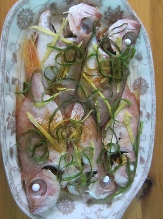 Microwave Steamed Fish recipe